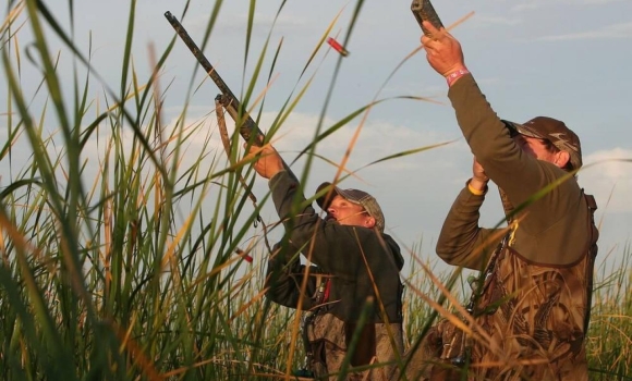На Вінниччині відкривається сезон полювання на пернату дичину та копитних