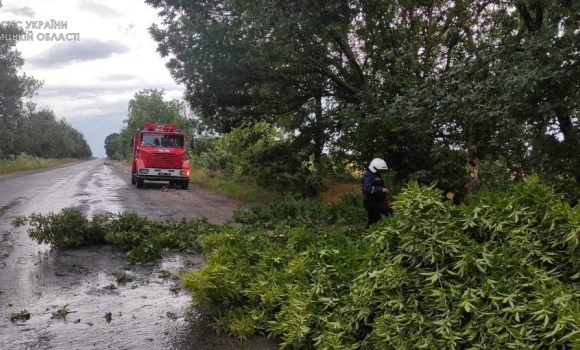 Минулої доби вітер повалив дерева на дороги в чотирьох районах Вінниччини