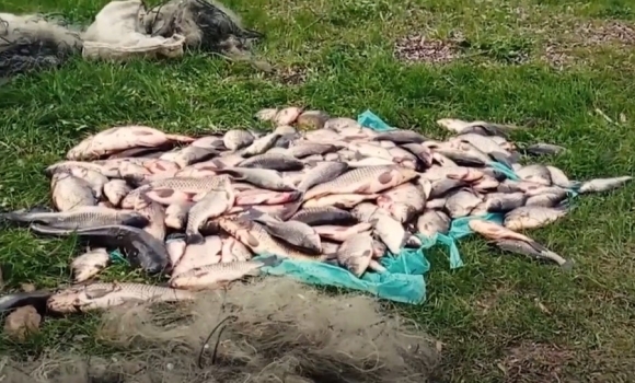 Під час нересту браконьєри на Вінниччині завдали збитків на 500 тис. грн