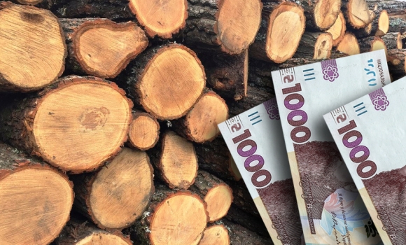 Підприємець "заробив" 230 тис. грн на дровах для освітніх закладів Барської громади