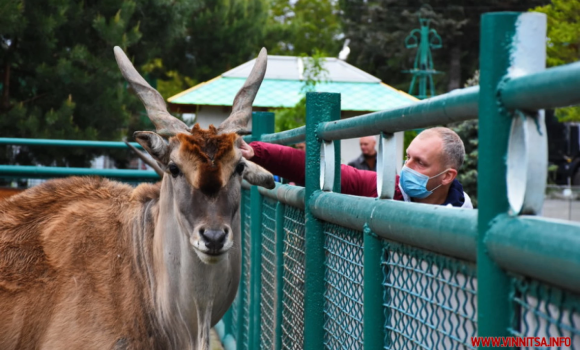 Пільгові категорії громадян можуть відвідати «Подільський зоопарк» безплатно