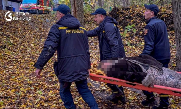 Рятувальники ДСНС несуть на ношах знайдену грибницю лісовою стежкою в П'ятничанському лісі у Вінниці Рятувальники ДСНС несуть на ношах знайдену грибницю лісовою стежкою в П'ятничанському лісі у Вінниці