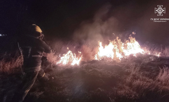 Поблизу Тульчина через необережне поводження з вогнем загорілась трава