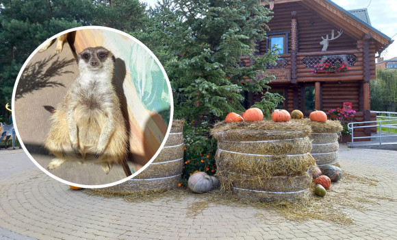 Подільский зоопарк у Вінниці змінює графік роботи