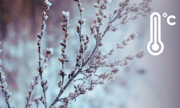 Погода на 7 грудня синоптики попередили вінничан про похолодання Погода на 7 грудня синоптики попередили вінничан про похолодання