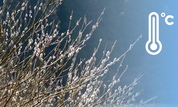Погодні сюрпризи березня вночі у Вінниці ще й досі відчуватимуться морози