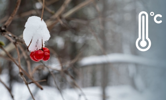 Погоду у Вінниці сформує циклон 14 лютого буде тепло, хмарно та без опадів