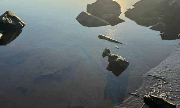 Походження маслянистих плям, які забруднили Дністер, з'ясовують вінницькі екологи