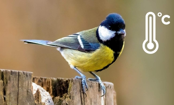Поки тепло й без дощів, але синоптики попередили вінничан чим закінчиться тиждень Поки тепло й без дощів, але синоптики попередили вінничан чим закінчиться тиждень