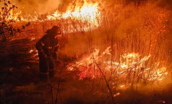 Понад 180 гектарів попелу рятувальники Вінниччини б’ють на сполох через масові пожежі в області