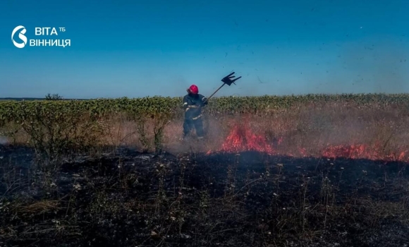 Понад 4 гектари вигоріло через спалювання сухої трави на Вінниччині Понад 4 гектари вигоріло через спалювання сухої трави на Вінниччині