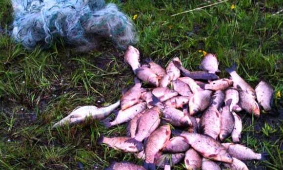 Понад 40 порушень за сезон поліція Вінниччини розпочала полювання на браконьєрів