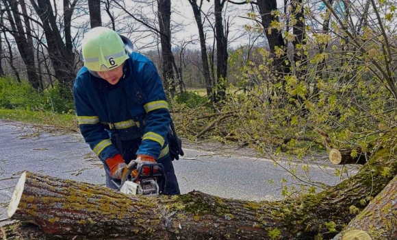 Понад 50 виїздів рятувальників за день негода заблокувала дороги на Вінниччині