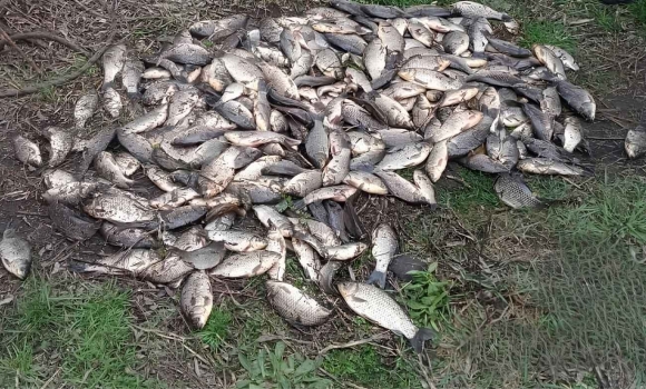 Понад 60 кг незаконного улову поліція Вінницької області масового викриває порушників на водоймах