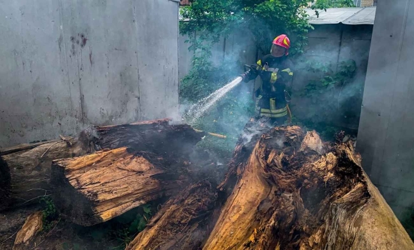 Понад пів тисячі пожеж з початку року на Вінниччині продовжує горіти земля