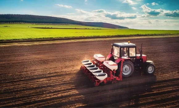 Посівна на Вінниччині які культури вже повністю засіяли та що зі станом озимих