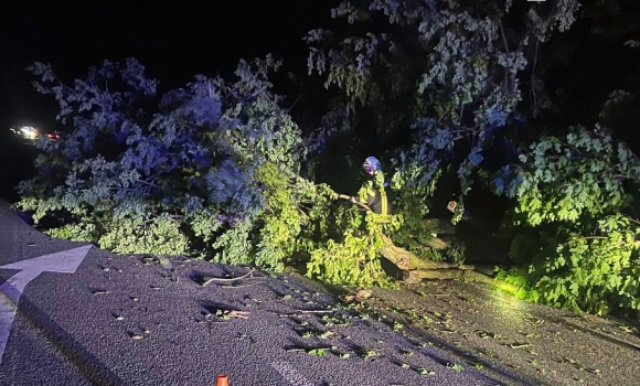 Повалене дерево перекрило рух дорогою на Літинщині