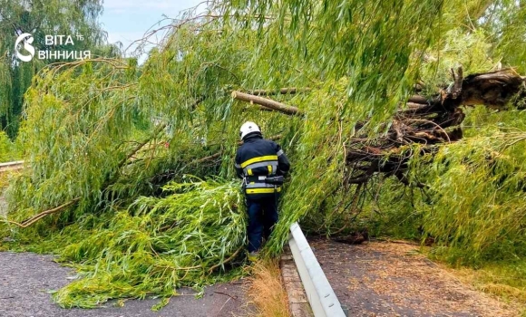  Повалені дерева та пошкоджений дах на Вінниччині ліквідували наслідки шквального вітру