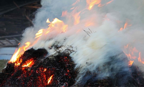 Пожежа знищила на Вінниччині дві тонни сіна на селянському обійсті