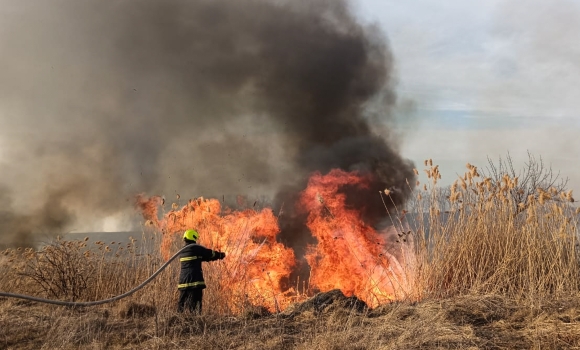 Пожежі охопили екосистеми Вінниччини на площі понад 77 гектарів