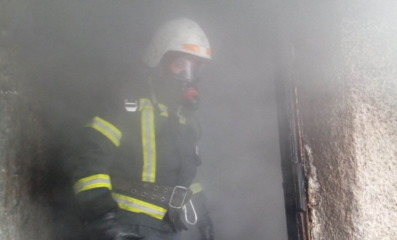 Пожежі у приватному будинку та господарчих спорудах загасили на Вінниччині