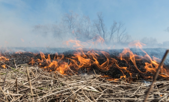 На Вінниччині за добу ліквідували чотири пожежі в екосистемах