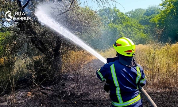 Пожнивні залишки, суха трава та сміття чому на Вінниччині щодня горить земля Пожнивні залишки, суха трава та сміття чому на Вінниччині щодня горить земля