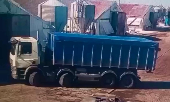 Працівниця загинула під колесами вантажівки на території тульчинського підприємства 