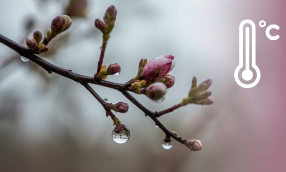 Прохолодно і дощі: чи довго протримається така погода на Вінниччині Прохолодно і дощі: чи довго протримається така погода на Вінниччині