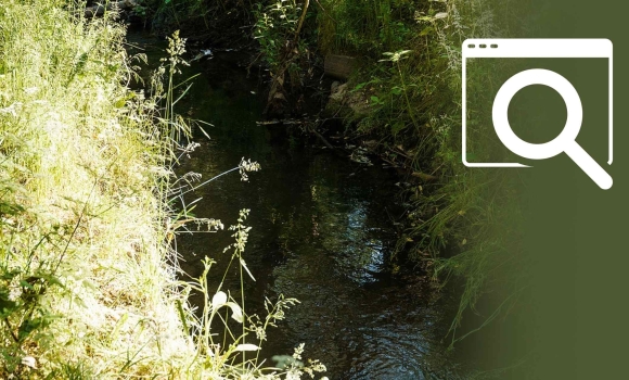 Проєкт “Малі річки Вінниці” тепер має власний сайт Проєкт “Малі річки Вінниці” тепер має власний сайт