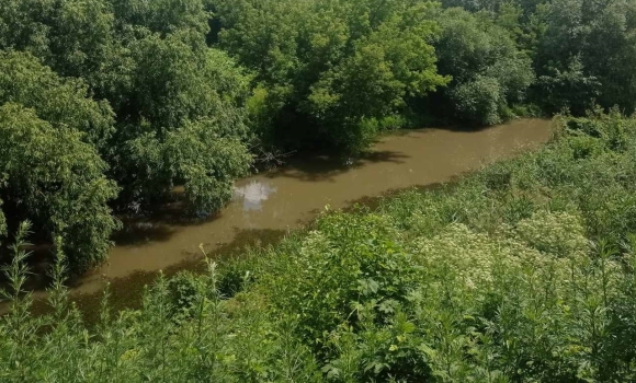 Річку Мурафа на Вінниччині забруднювали відходами з підприємства 