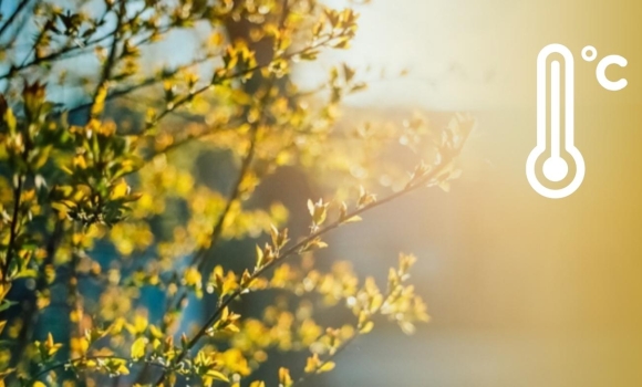 Різке похолодання та поривчастий вітер погода випробовує вінничан на міцність