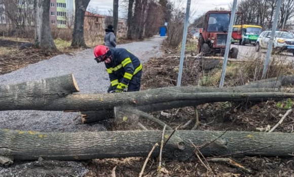 Розкряжували десять повалених дерев, які заблокували автошляхи на Вінниччині