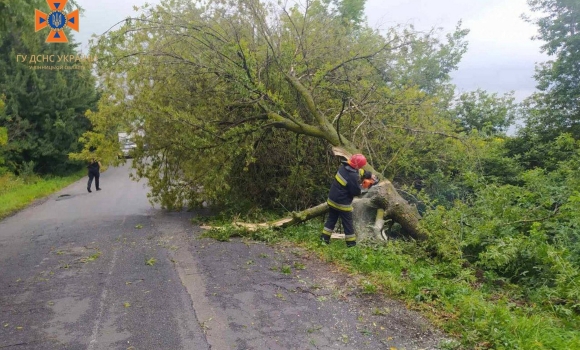 Рятувальники прибирали повалені дерева з доріг Вінницької області