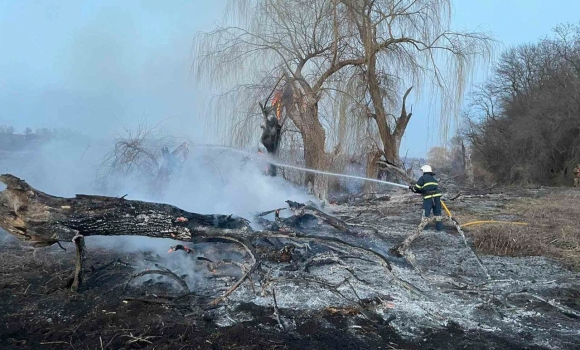 Рятувальники Вінниччини ліквідували 30 пожеж в екосистемах за один день