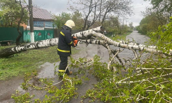 Рятувальники Вінниччини прибирали з доріг повалені вітром дерева