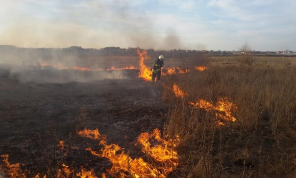 Рятувальники Вінниччини за добу 12 разів виїжджали на гасіння пожежРятувальники Вінниччини за добу 12 разів виїжджали на гасіння пожеж