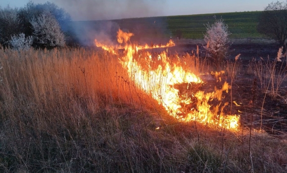Рятувальники Вінниччини за добу загасили 12 загорянь сухої рослинності