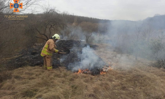 Рятувальники закликають вінничан не провокувати пожежі в екосистемах