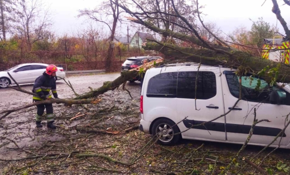 Рятувальники п’ять разів залучались до розкряжування дерев