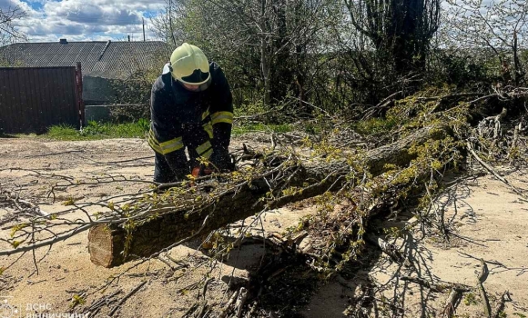 Рятувальники розчищали автошляхи від повалених дерев у двох районах Вінницької області