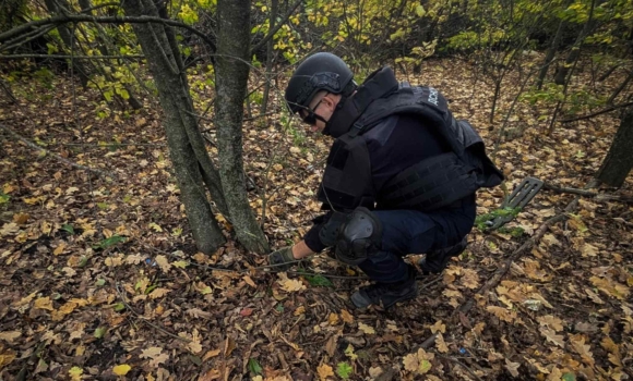 Сапери знищили на Вінниччині гранату часів Другої світової