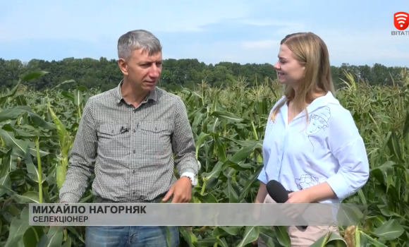 Як вінничанин вирощує мексиканський трюфель