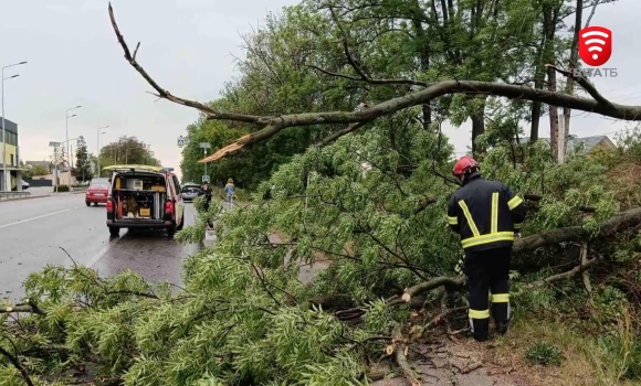 Сильні пориви вітру завдали шкоди на автошляхах Вінниччини