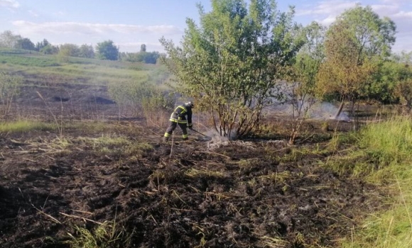 Сім пожеж в екосистемах сталося за добу на Вінниччині
