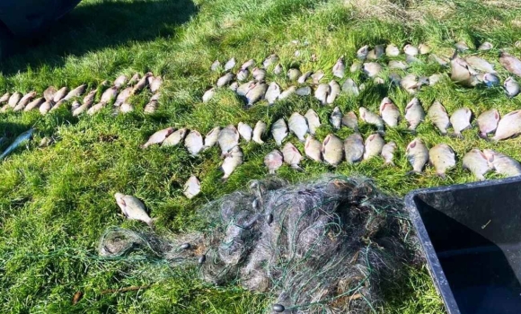 Сітки, 80 кг риби та загроза в'язниці на Південному Бузі викрили браконьєра