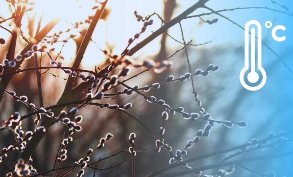Скільки днів ще протримаються на Вінниччині нічні морози — синоптики дивують прогнозами