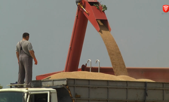 Скільки тонн врожаю вже зібрали фермери Вінниччини та на скільки зросли ціни на зерно