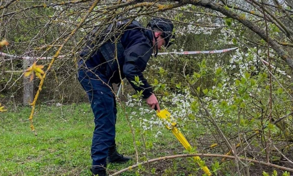 Смертельне залізо рятувальники Вінниччини знищили артилерійські боєприпаси минулого століття