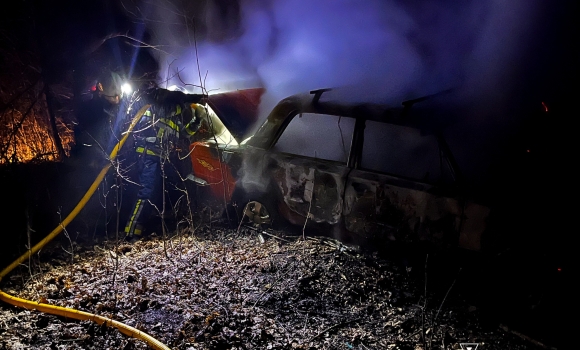Сміття, будинки та автомобіль горіли на Вінниччині